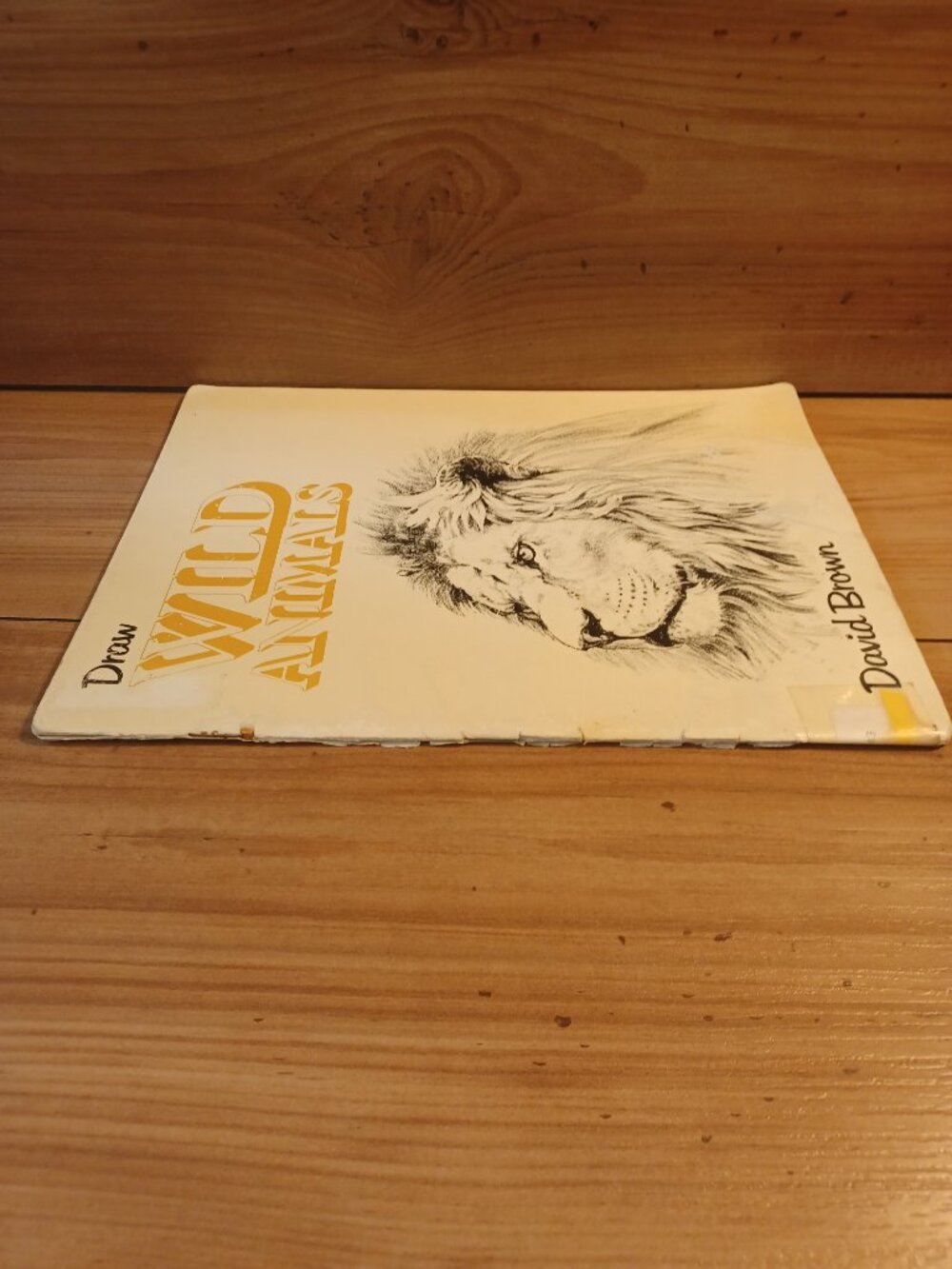 Draw Wild Animals Book - Picture 5 of 11